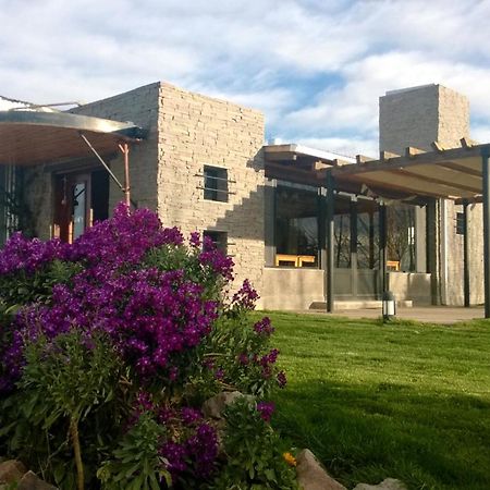 La Calandria B&B - Destilería de Lavandas Puerto Madryn Exterior foto